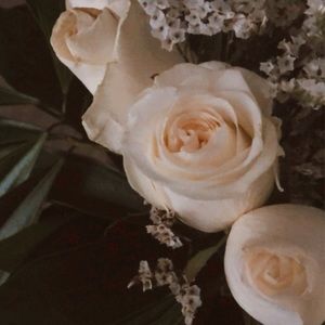 Meet your Posher, Shuhan